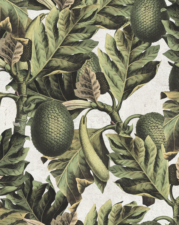 Exotic Fruit I - White, Green Wallcovering | Mind the Gap