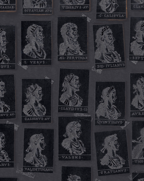 Emperors Anthracite Wallpaper | Mind The Gap