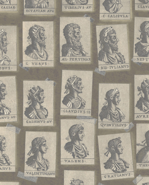 Emperors Taupe Wallpaper | Mind The Gap