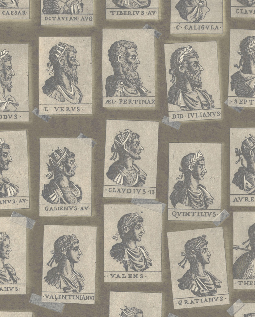 Emperors Taupe Wallpaper | Mind The Gap