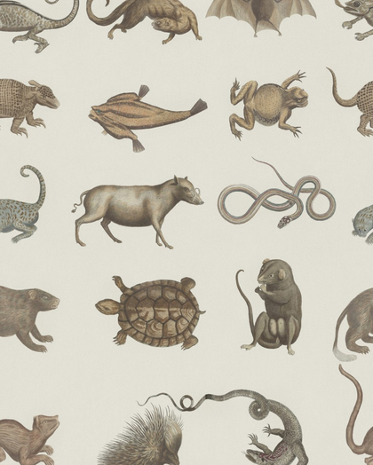 Ark of Seba - Taupe, Grey Wallcovering | Mind the Gap