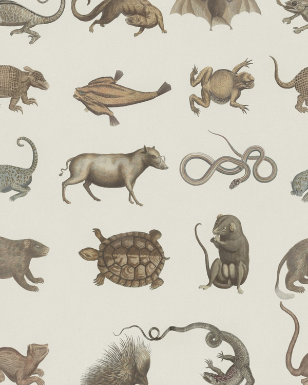 Ark of Seba - Taupe, Grey Wallcovering | Mind the Gap