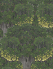 Savage Leaves Wallpaper | Mind The Gap