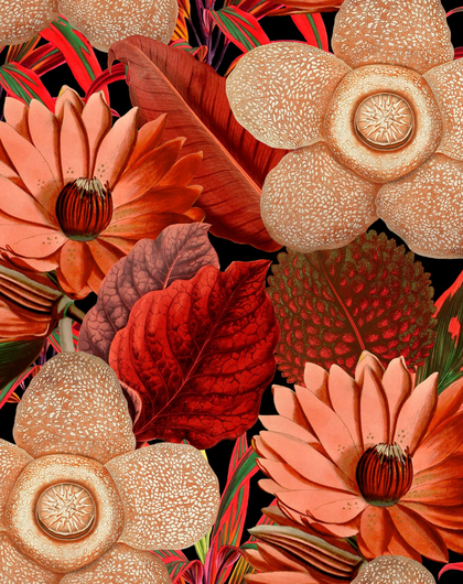 Water Lilies - Black, Green, Beige, Red Wallcovering | Mind the Gap