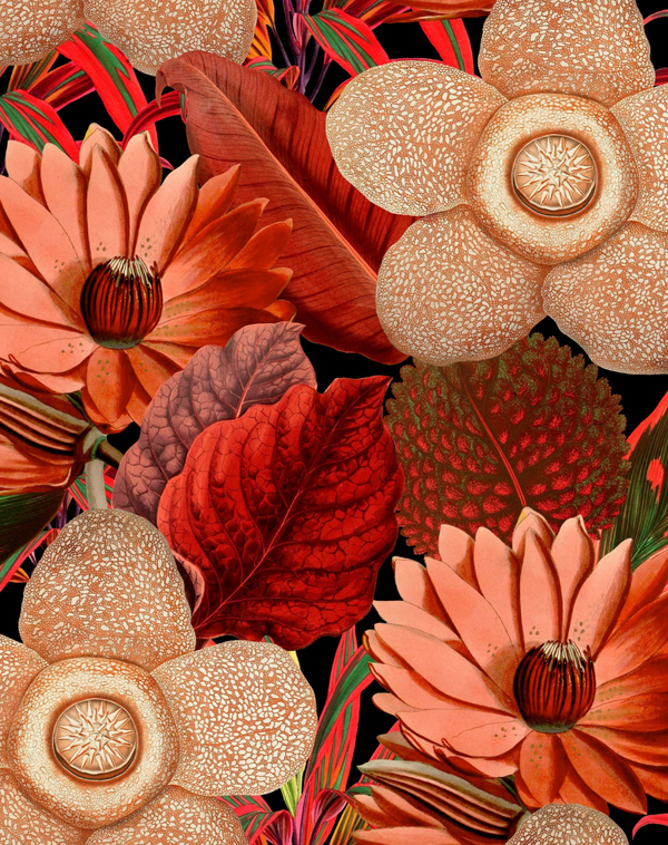 Water Lilies - Black, Green, Beige, Red Wallcovering | Mind the Gap