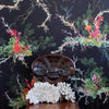 Seaweed and Shell Soft Touch Black