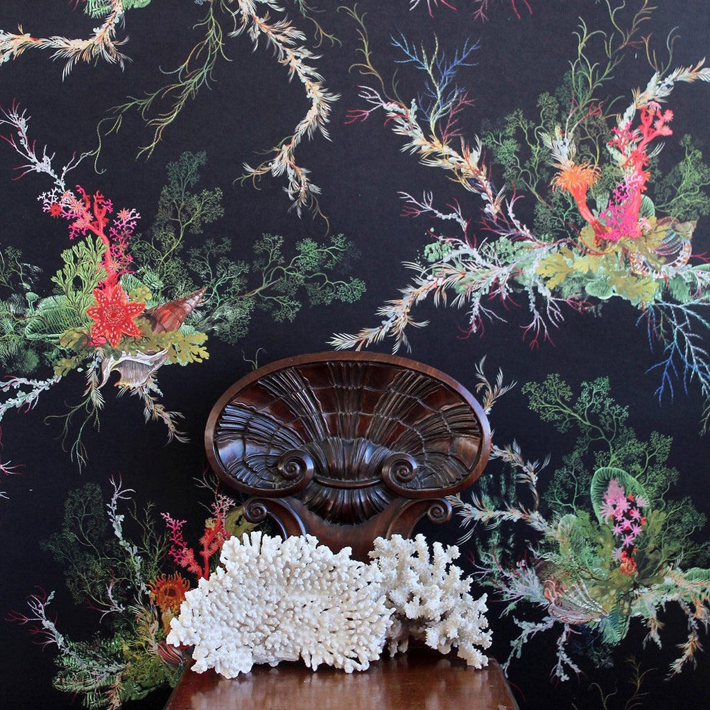 Seaweed and Shell Soft Touch Black