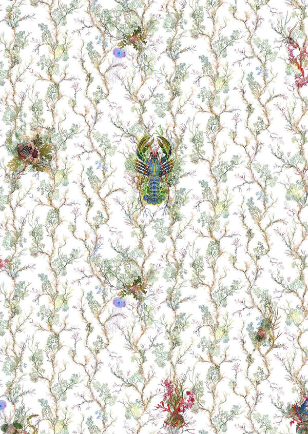 Seashore Galore | Timorous Beasties Wallcovering