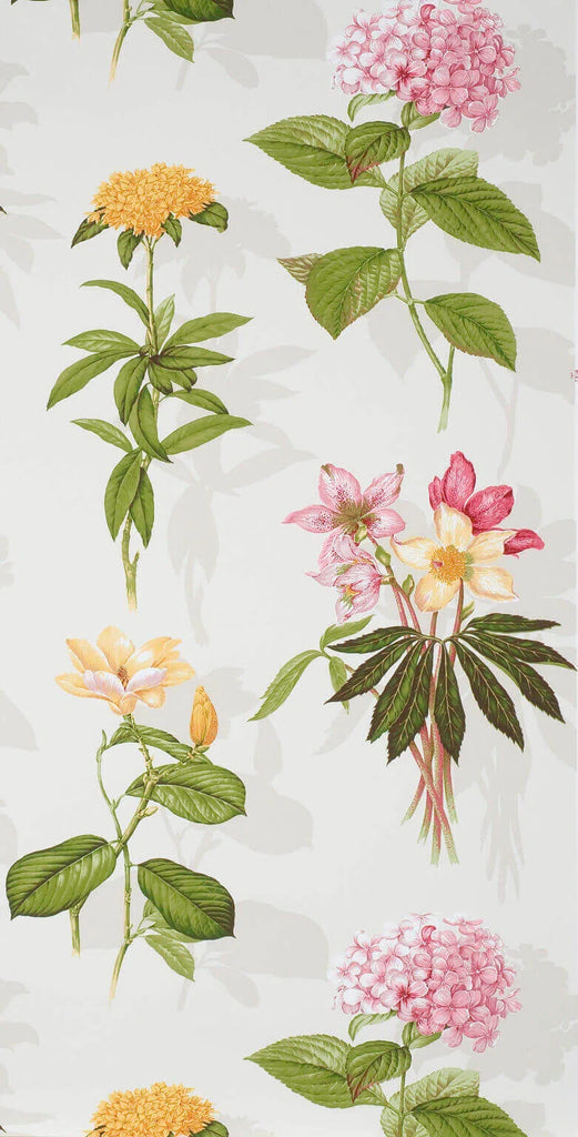 Wallcovering Nakai, Pistacchio