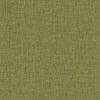 Aspect - Olive Grove