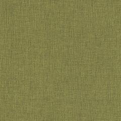 Aspect - Olive Grove