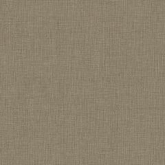 Aspect - Taupe Linen