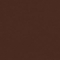 Distressed - Rust Polyurethane | Phillipe Romano