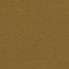 Distressed - Rye Polyurethane | Phillipe Romano