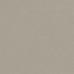 Distressed - Vanilla Polyurethane | Phillipe Romano