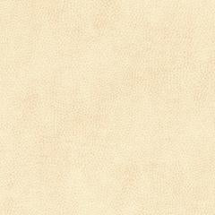 Vintage - Eggshell Graffiti-Free Pu | Phillipe Romano