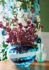 Surfrider, Celery