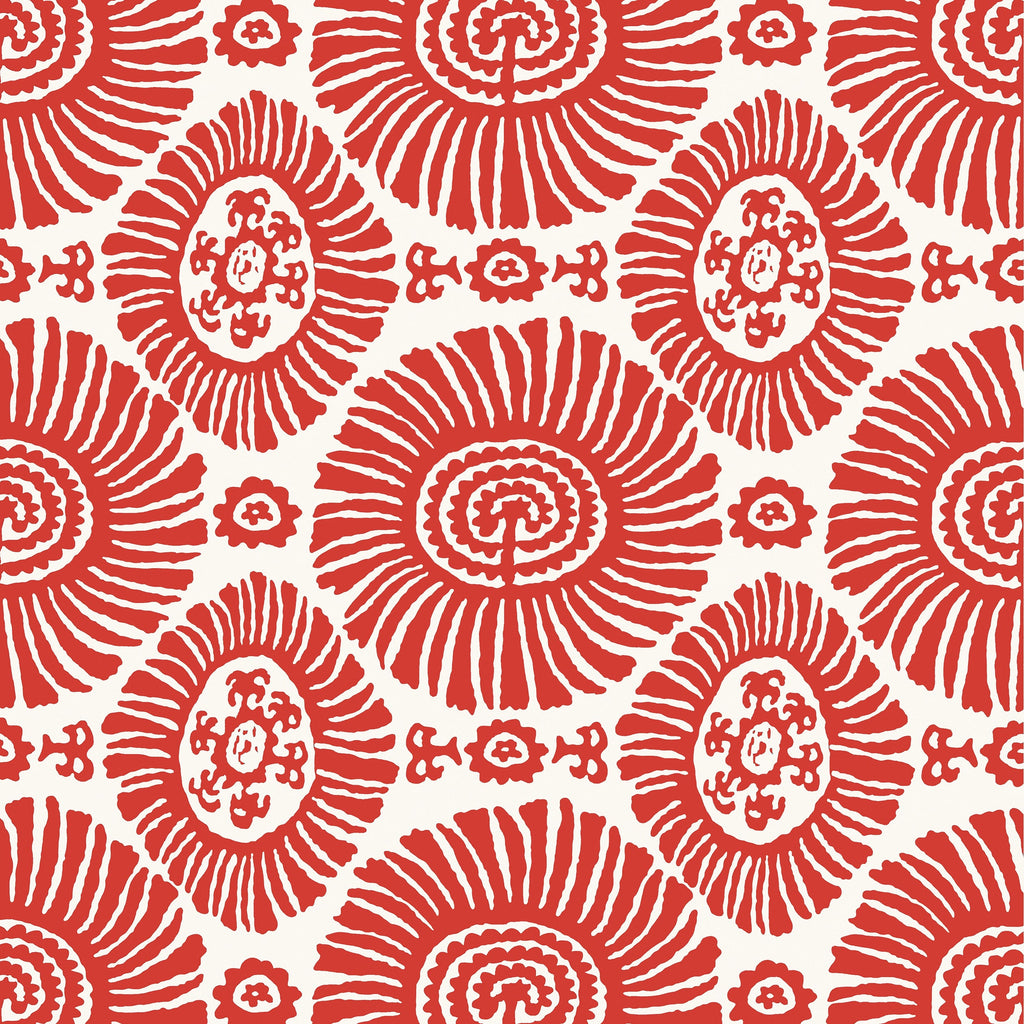 Solis, Coral
