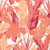 Travelers Palm, Pink and Coral