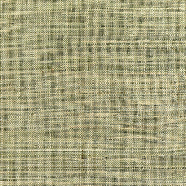 Mackinac, Sage Wallcoverings | Thibaut
