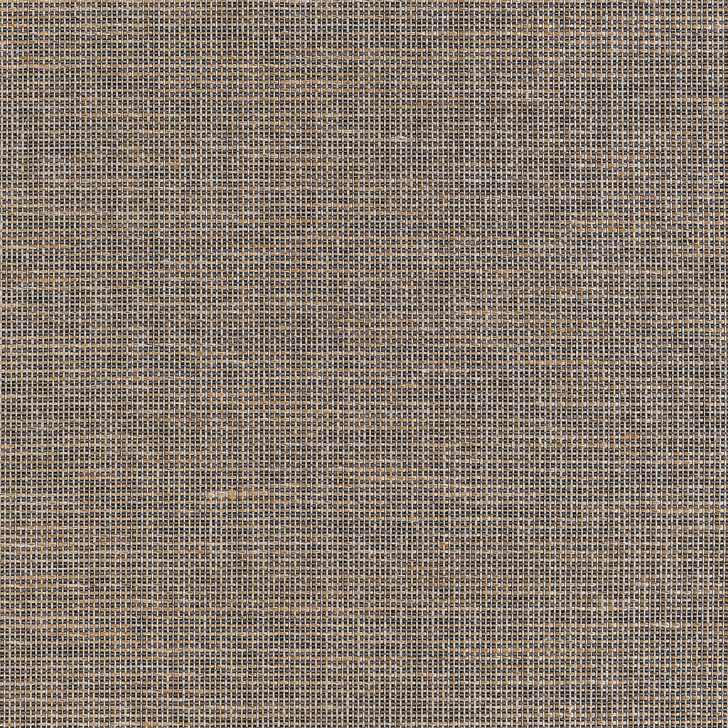 Harrison, Black
