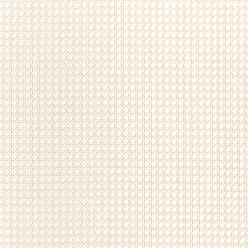 Paper Rattan, White