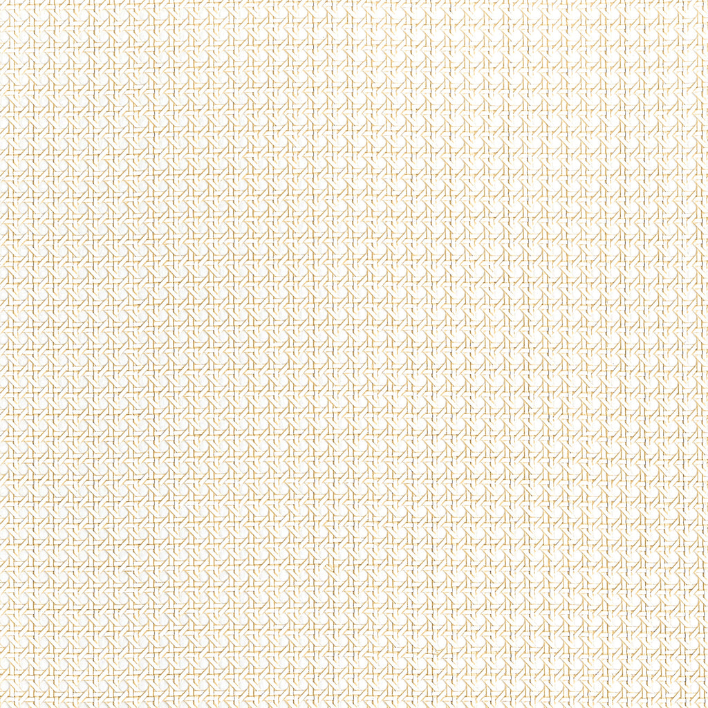 Paper Rattan, White