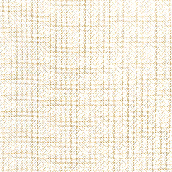 Paper Rattan, White Wallcoverings | Thibaut