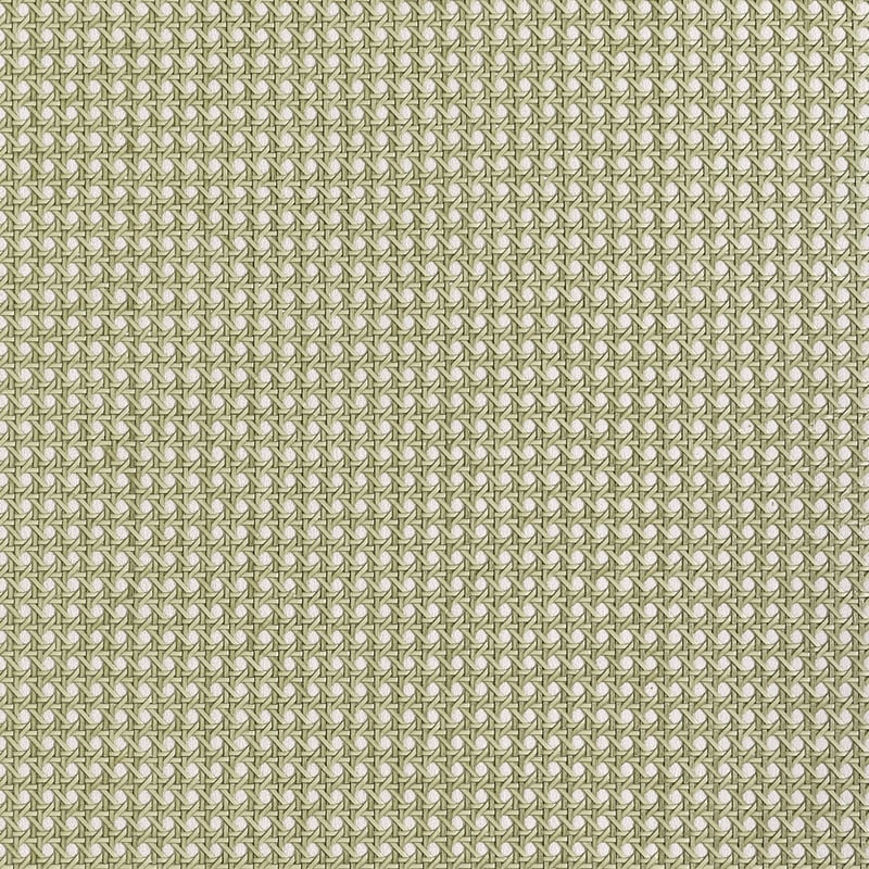 Paper Rattan, Olive