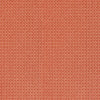 Paper Rattan, Coral