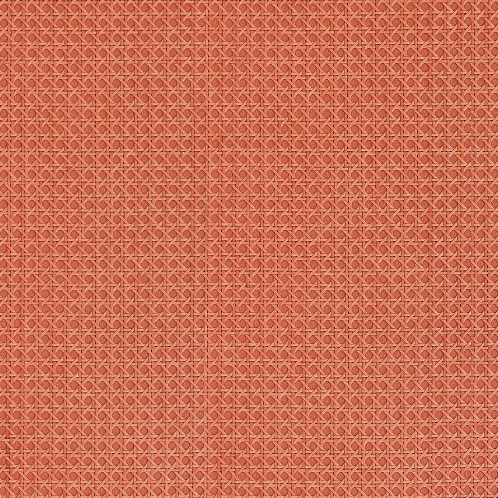 Paper Rattan, Coral