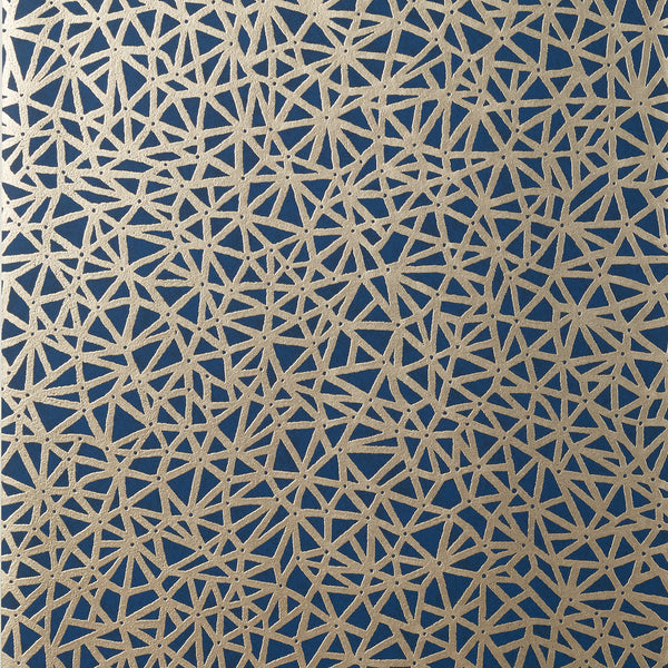 Aedan Navy - Navy Wallcovering | Thibaut