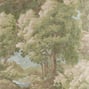 Woodland Clearing, Green