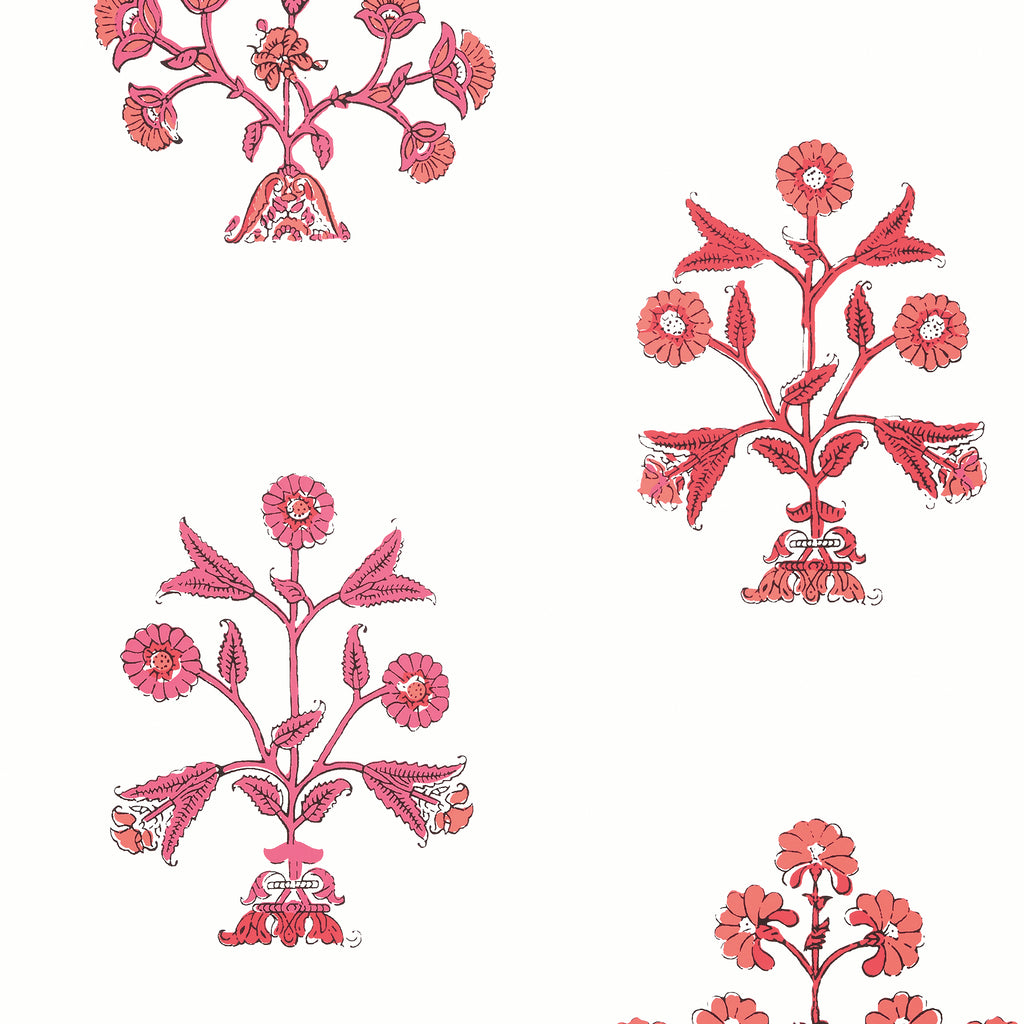 Indian Flower | Thibaut