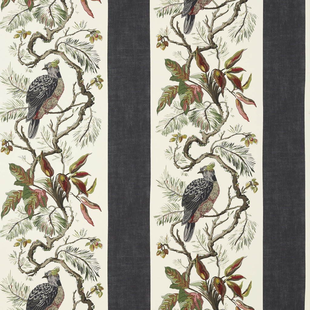 Williamson, Black