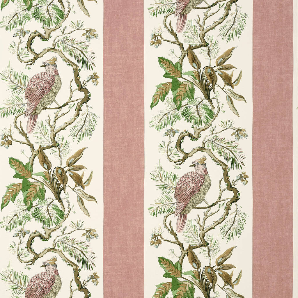 Williamson, Blush