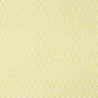 Zion, Yellow