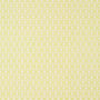 Zion, Yellow