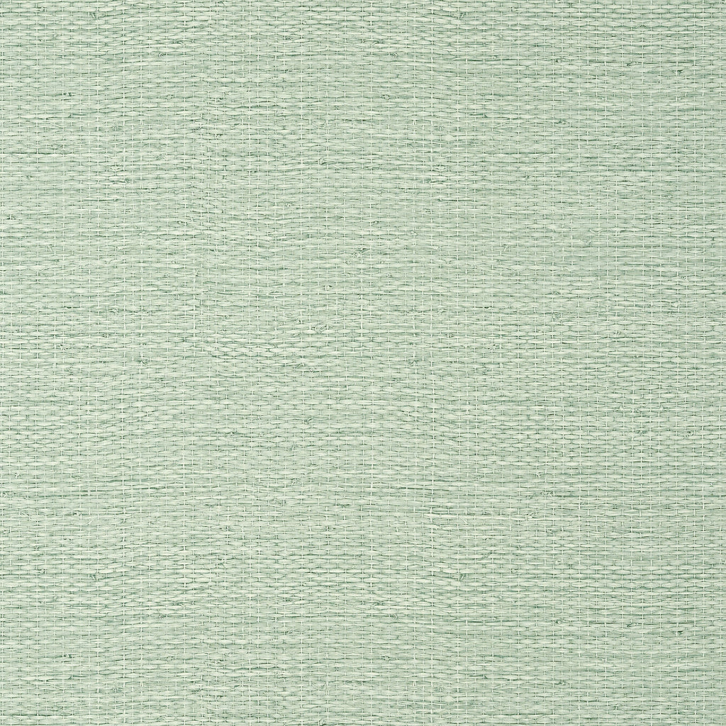 Prairie Weave, Evergreen