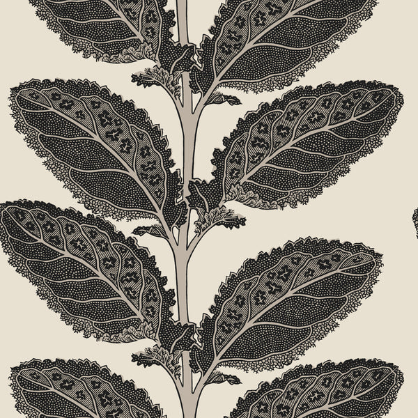 Lacinato Basalt Black - Basalt Black Wallcovering | Thibaut