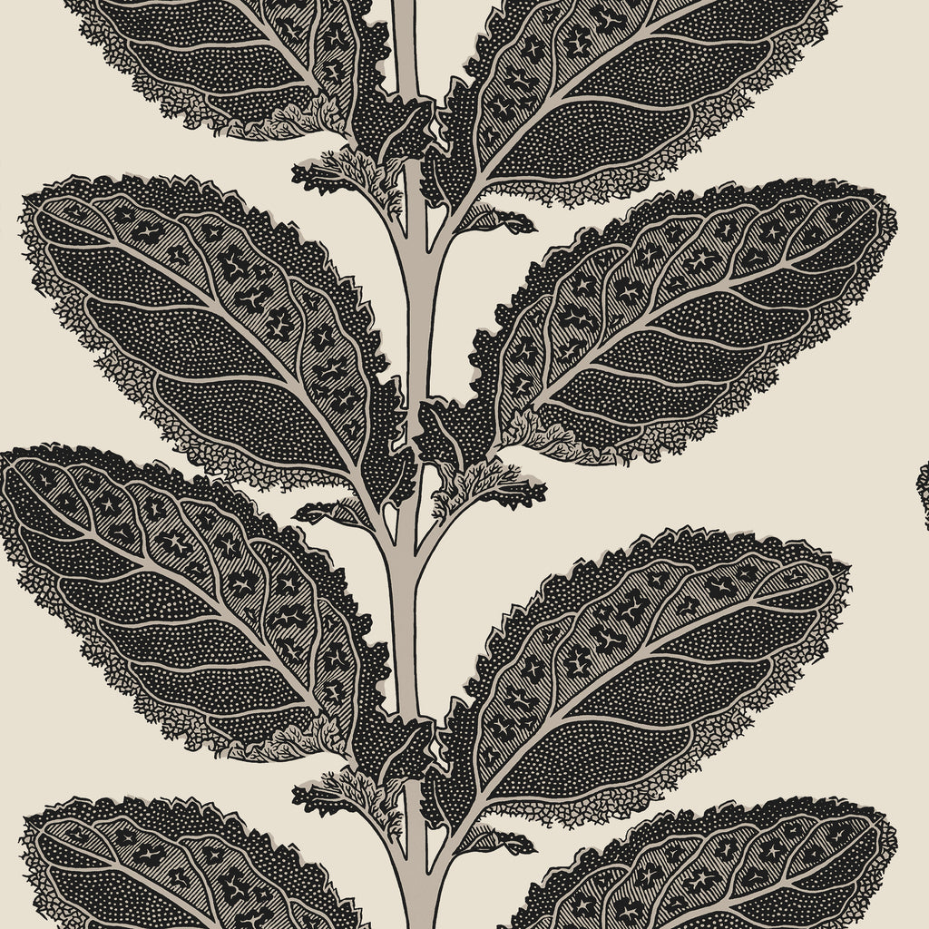 Lacinato Basalt Black - Basalt Black Wallcovering | Thibaut