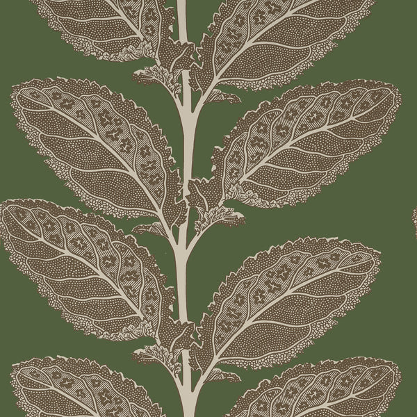Lacinato Wild Sage - Wild Sage Wallcovering | Thibaut