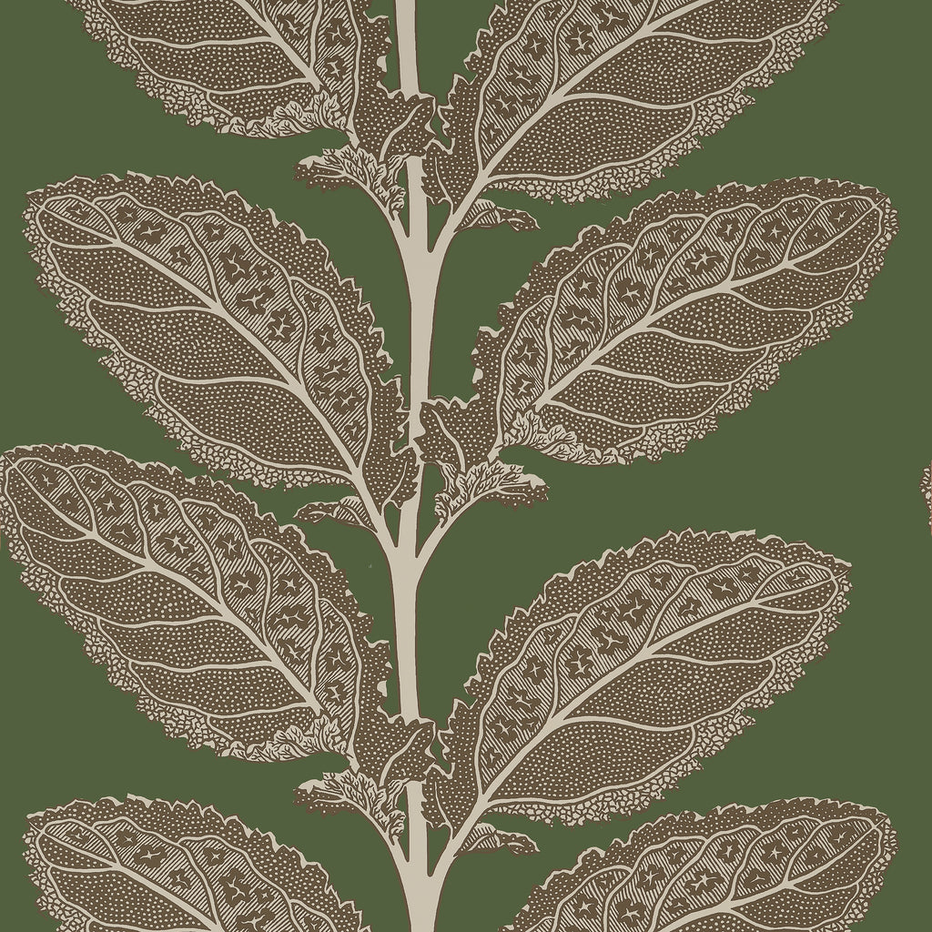 Lacinato Wild Sage - Wild Sage Wallcovering | Thibaut