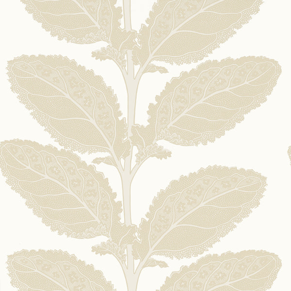Lacinato Birch - Beige Wallcovering | Thibaut
