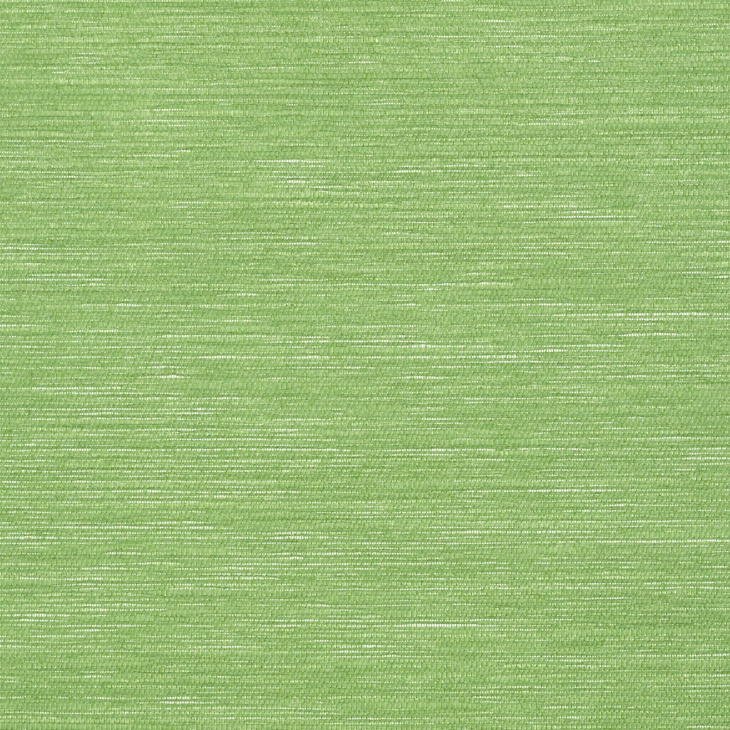 Surfrider, Celery