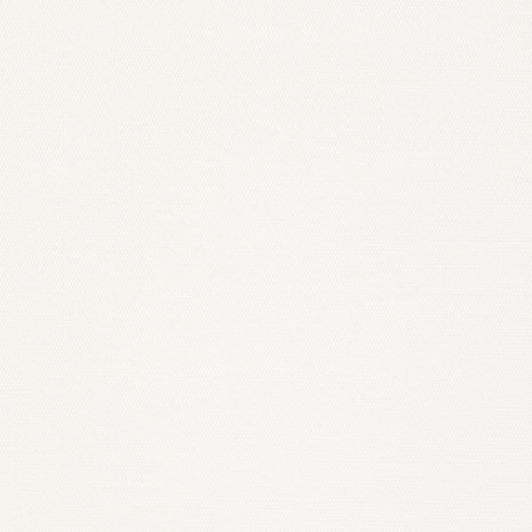 Surfrider, White Wallcoverings | Thibaut