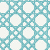 Cyrus Cane, Turquoise