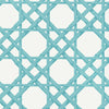 Cyrus Cane, Turquoise