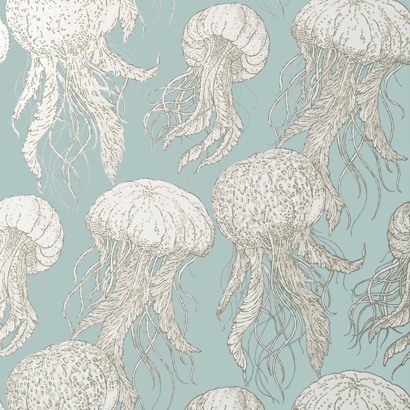 Jelly Fish Bloom, Aqua