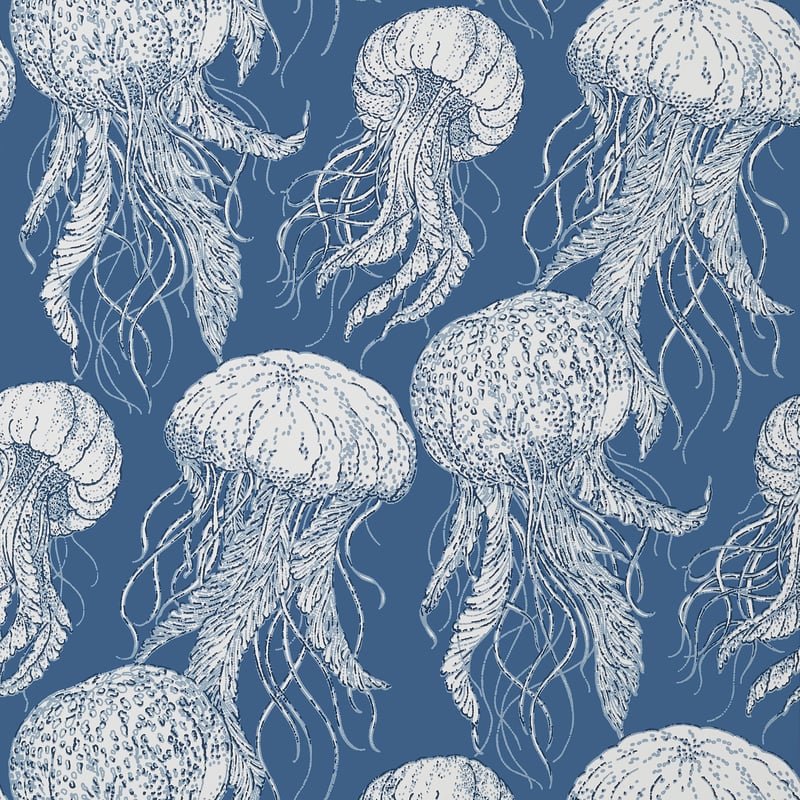Jelly Fish Bloom, Navy